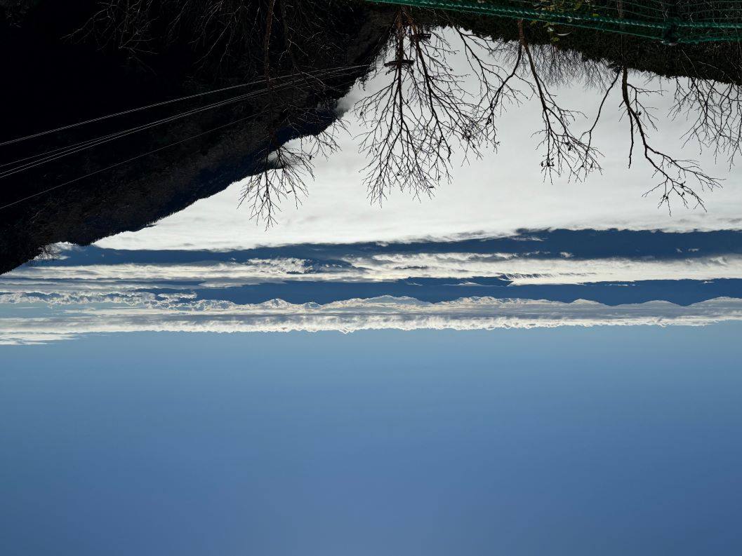 5%CC%DA%C1%BE%B6%F0%A5%B1%B3%D9%B1%C0%B3%A4%20IMG_7368.jpg